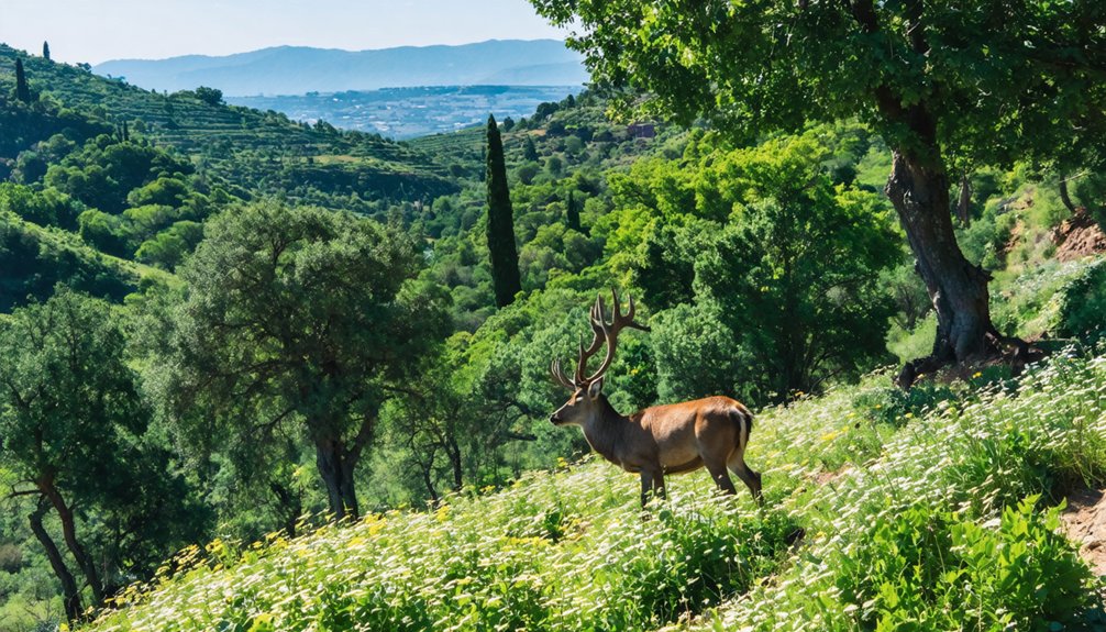 Excursiones cercanas